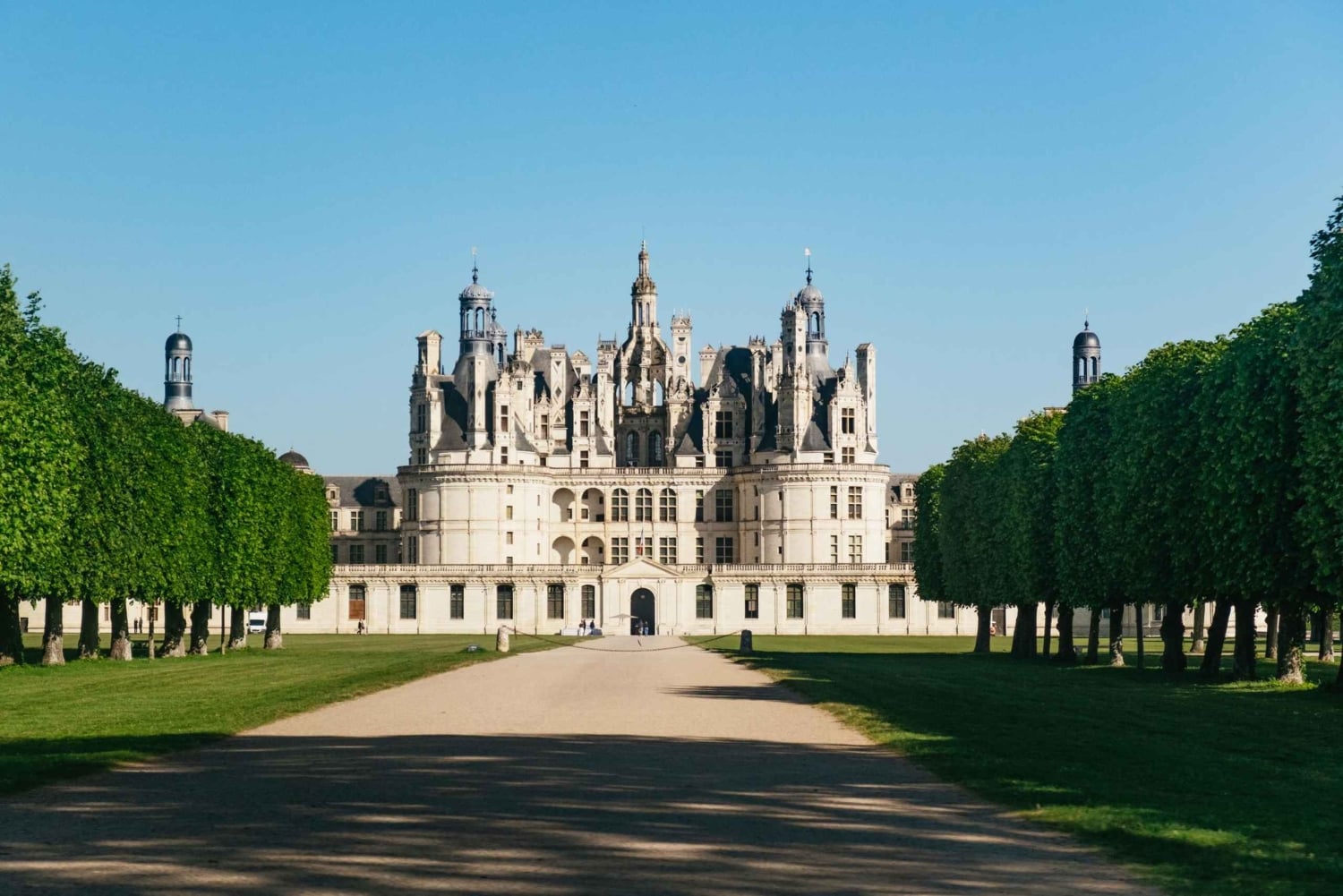 Da Parigi: Castello di Chambord e degustazione di vini nella Valle della Loira
