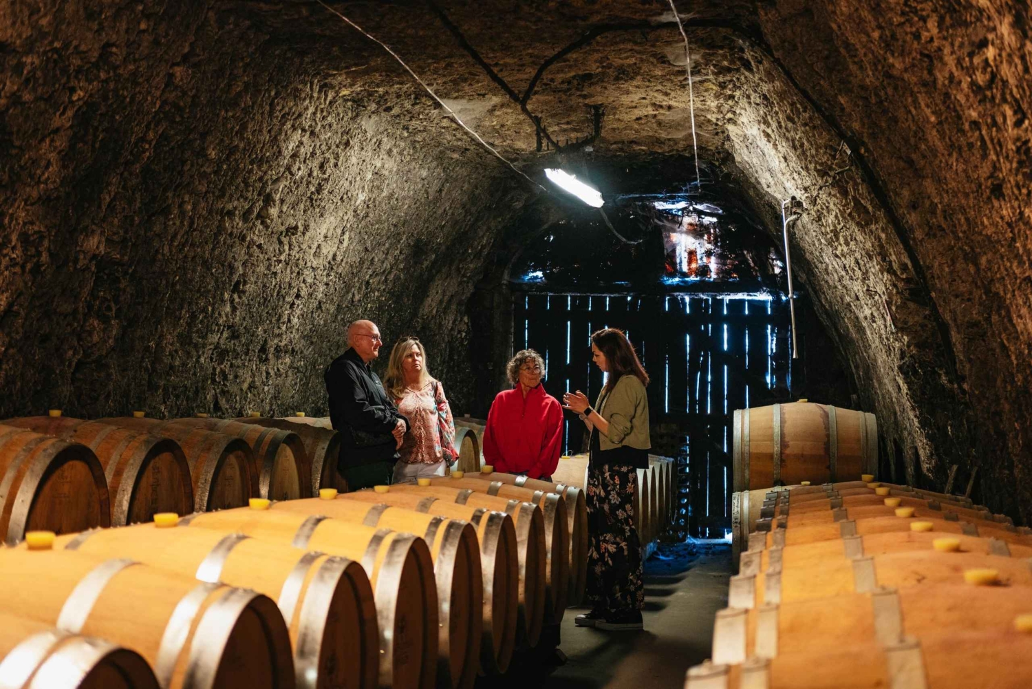 Da Parigi: Castello di Chambord e degustazione di vini nella Valle della Loira
