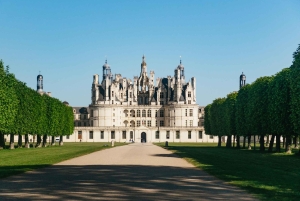 Da Parigi: Castello di Chambord e degustazione di vini nella Valle della Loira