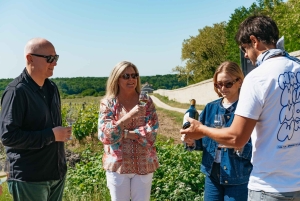 Da Parigi: Castello di Chambord e degustazione di vini nella Valle della Loira