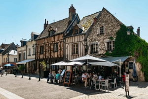 Da Parigi: Castello di Chambord e degustazione di vini nella Valle della Loira