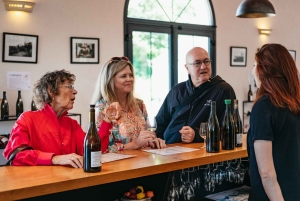 Da Parigi: Castello di Chambord e degustazione di vini nella Valle della Loira