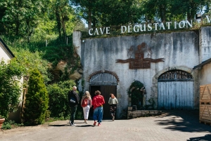 Da Parigi: Castello di Chambord e degustazione di vini nella Valle della Loira