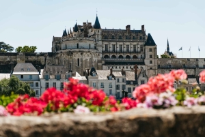 Da Parigi: Castello di Chambord e degustazione di vini nella Valle della Loira