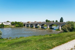 Da Parigi: Castello di Chambord e degustazione di vini nella Valle della Loira