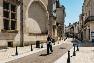 Da Parigi: Castello di Chambord e degustazione di vini nella Valle della Loira