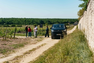 Da Parigi: Castello di Chambord e degustazione di vini nella Valle della Loira