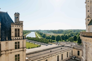 Da Parigi: Castello di Chambord e degustazione di vini nella Valle della Loira