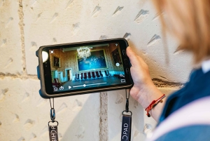 Da Parigi: Castello di Chambord e degustazione di vini nella Valle della Loira