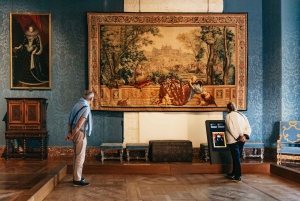 Da Parigi: Castello di Chambord e degustazione di vini nella Valle della Loira