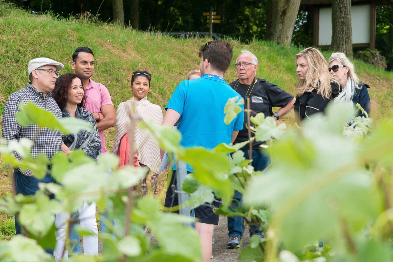 Fra Paris: Champagne dagsudflugt for små grupper med seks smagsprøver