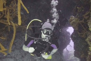 Desde Playa del Carmen Aventura de Buceo en Cozumel
