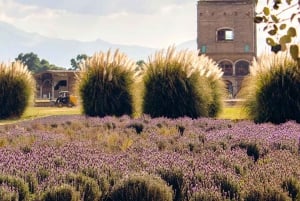 From Puebla: CHAUTLA AND VAL'QUIRICO PRIVATE TOUR