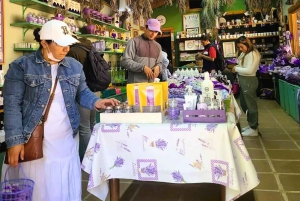 From Puebla: CHAUTLA AND VAL'QUIRICO PRIVATE TOUR