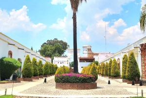 From Puebla: CHAUTLA AND VAL'QUIRICO PRIVATE TOUR