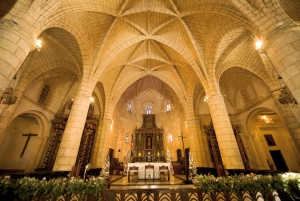 From Punta Cana: Full-Day Santo Domingo City Tour