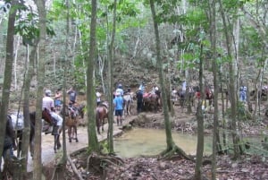 De Punta Cana: Samaná, Cayo Levantado e Cachoeira El Limón