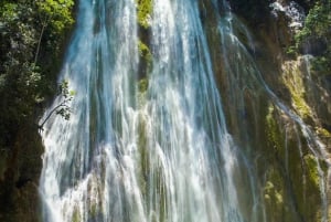 Von Punta Cana aus: Samana Tagestour mit Bus und Boot