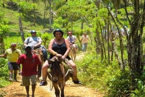 Von Punta Cana aus: Samana Tagestour mit Bus und Boot