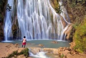 Von Punta Cana aus: Samana Tagestour mit Bus und Boot