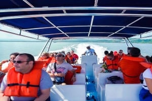 Von Punta Cana aus: Samana Tagestour mit Bus und Boot