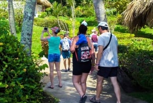 Von Punta Cana aus: Samana Tagestour mit Bus und Boot