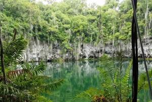 From Punta Cana: Santo Domingo Full-Day Tour with Lunch
