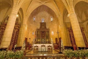 De Punta Cana: viagem de 1 dia pela história de Santo Domingo com almoço