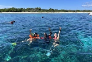 From Punta Cana: Small Group Catalina Island Snorkeling Tour