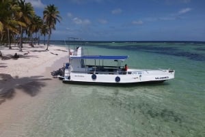 From Punta Cana: Small Group Catalina Island Snorkeling Tour