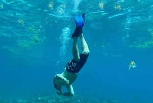 From Punta Cana: Small Group Catalina Island Snorkeling Tour