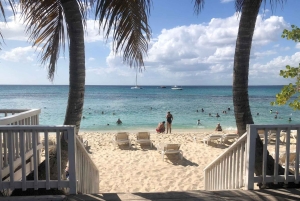 From Punta Cana: Small Group Catalina Island Snorkeling Tour