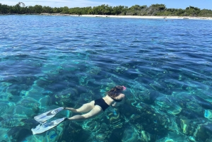From Punta Cana: Small Group Catalina Island Snorkeling Tour