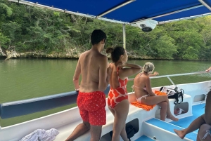 From Punta Cana: Small Group Catalina Island Snorkeling Tour