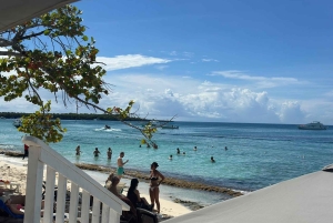 From Punta Cana: Small Group Catalina Island Snorkeling Tour