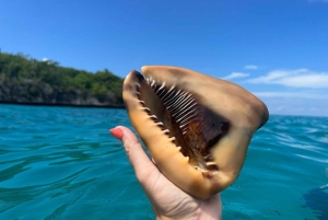 From Punta Cana: Small Group Catalina Island Snorkeling Tour