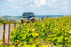 From Reims: Champagne and Family-Run Wineries Tour