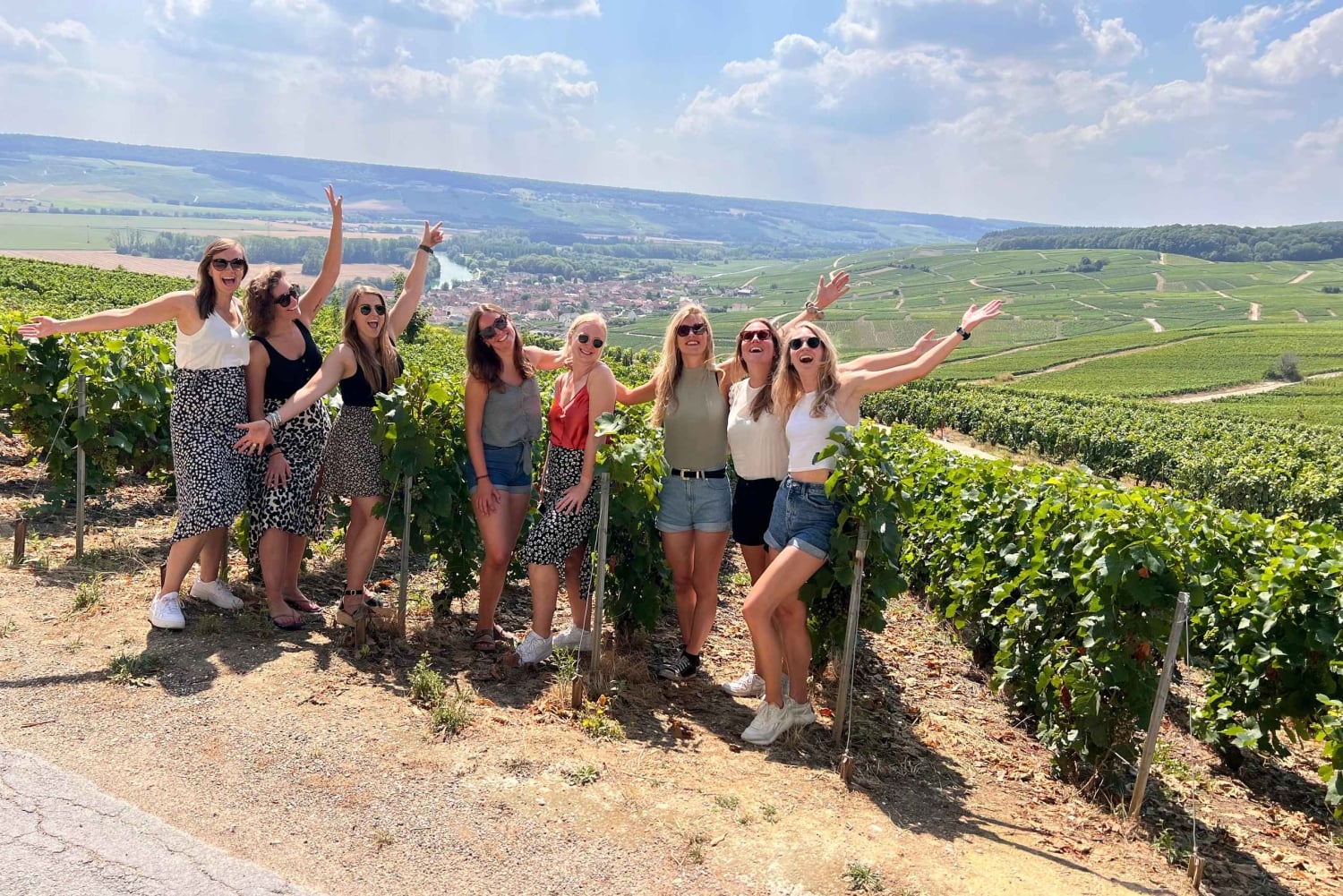 Da Reims/Epernay: Tour di mezza giornata dello Champagne (piccolo gruppo)