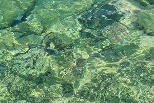 С Родоса: однодневная поездка на остров Сими и монастырь Панормитис