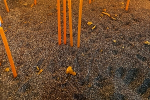 С Родоса: однодневная поездка на остров Сими и монастырь Панормитис