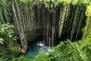 From Riviera Maya: Chichén Itzá, Cenote, Valladolid, and buffet lunch