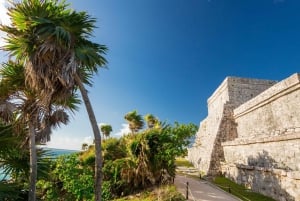 From Riviera Maya: Tulum, Cenote, & Akumal Turtle Swim Trip