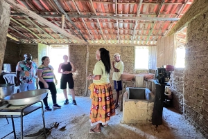 Fra Salvador: Quilombo Heritage dagstur med lunsj