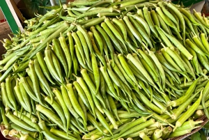 Fra Salvador: Quilombo Heritage dagstur med lunsj