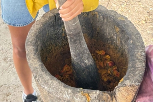 Fra Salvador: Quilombo Heritage dagstur med lunsj