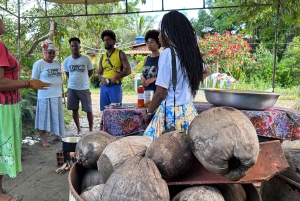 From Salvador: Quilombo Heritage Daytrip with Lunch
