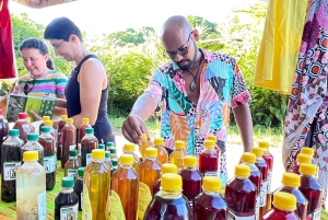 From Salvador: Quilombo Heritage Daytrip with Lunch