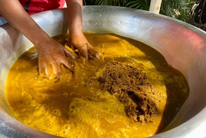 From Salvador: Quilombo Heritage Daytrip with Lunch