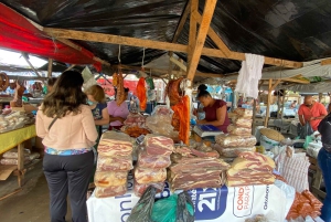 From Salvador: Quilombo Heritage Daytrip with Lunch