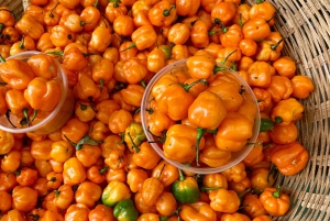 From Salvador: Quilombo Heritage Daytrip with Lunch